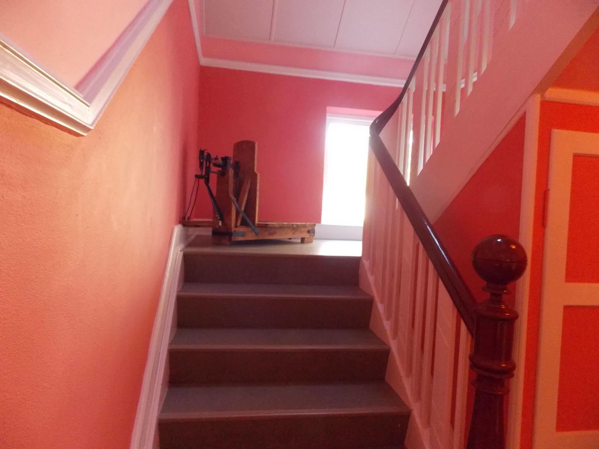Nygammelso Bed & Breakfast Stege Zewnętrze zdjęcie