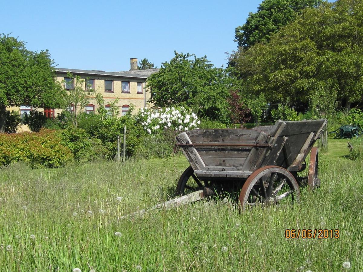 Nygammelso Bed & Breakfast Stege Zewnętrze zdjęcie